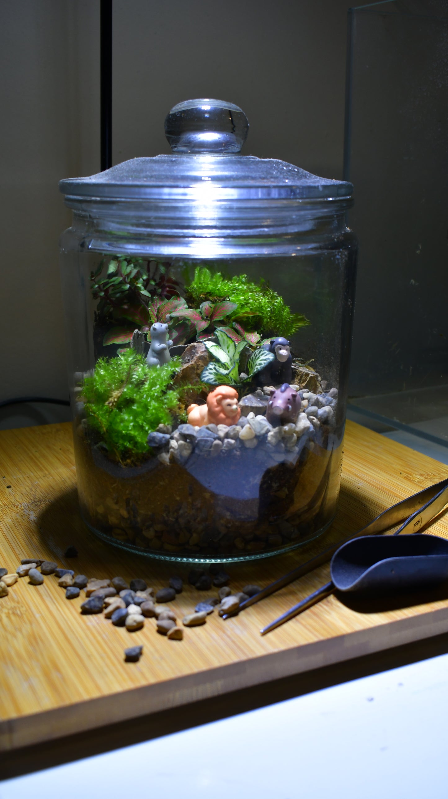 Kid's Terrarium Workshop - Build Your Own Terrarium Zoo