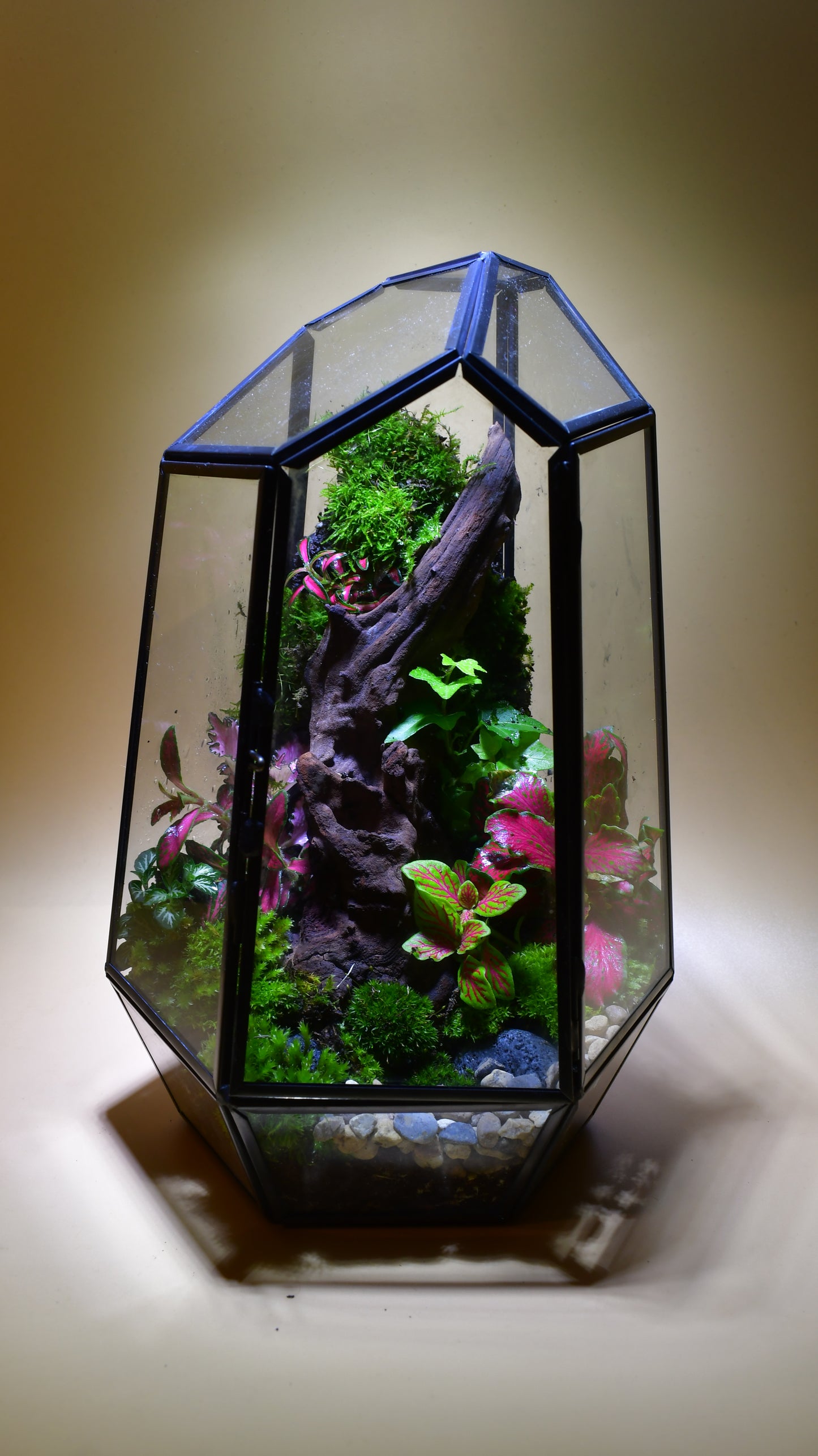 Verticle Geometric Terrarium