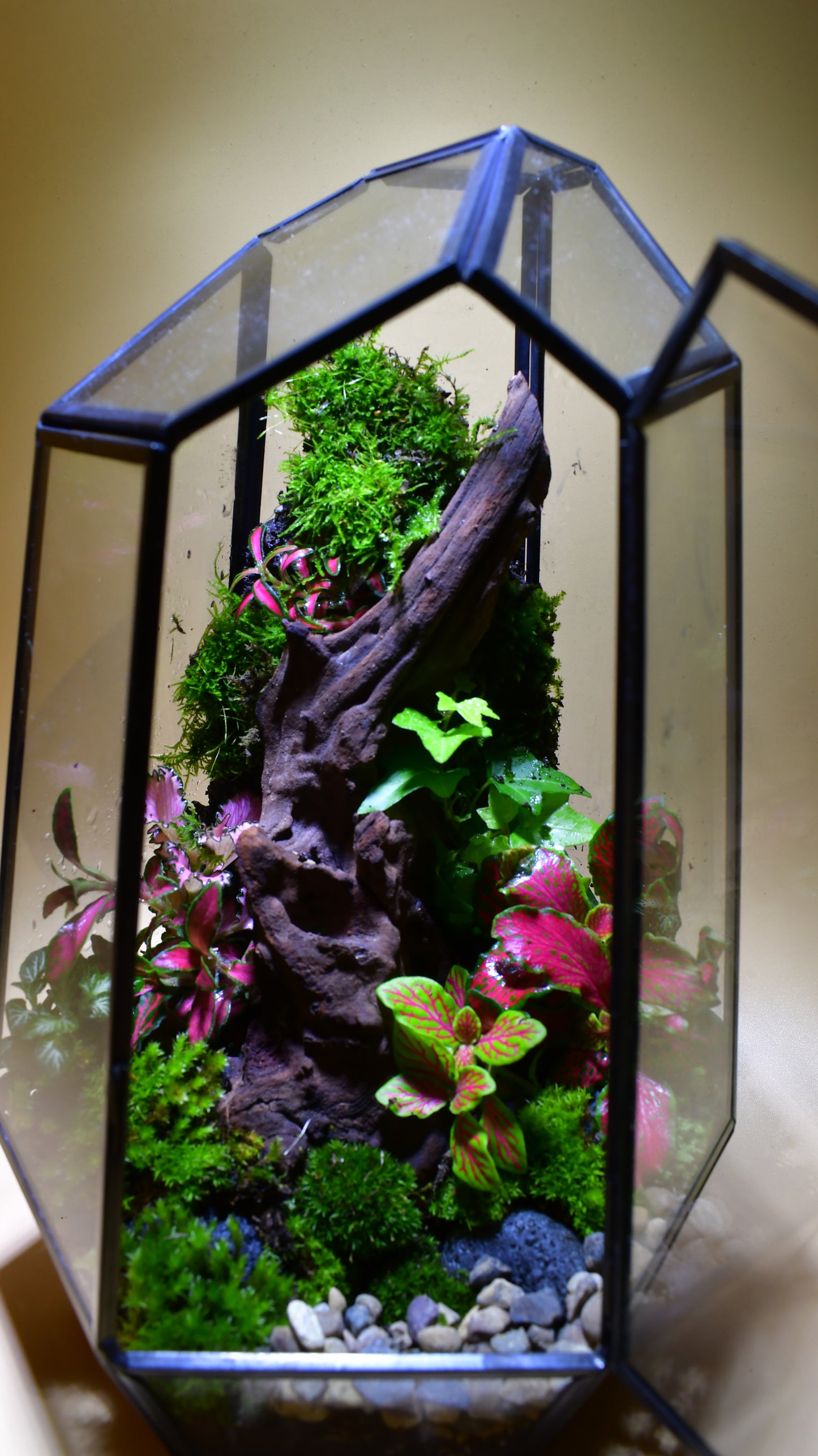 Verticle Geometric Terrarium