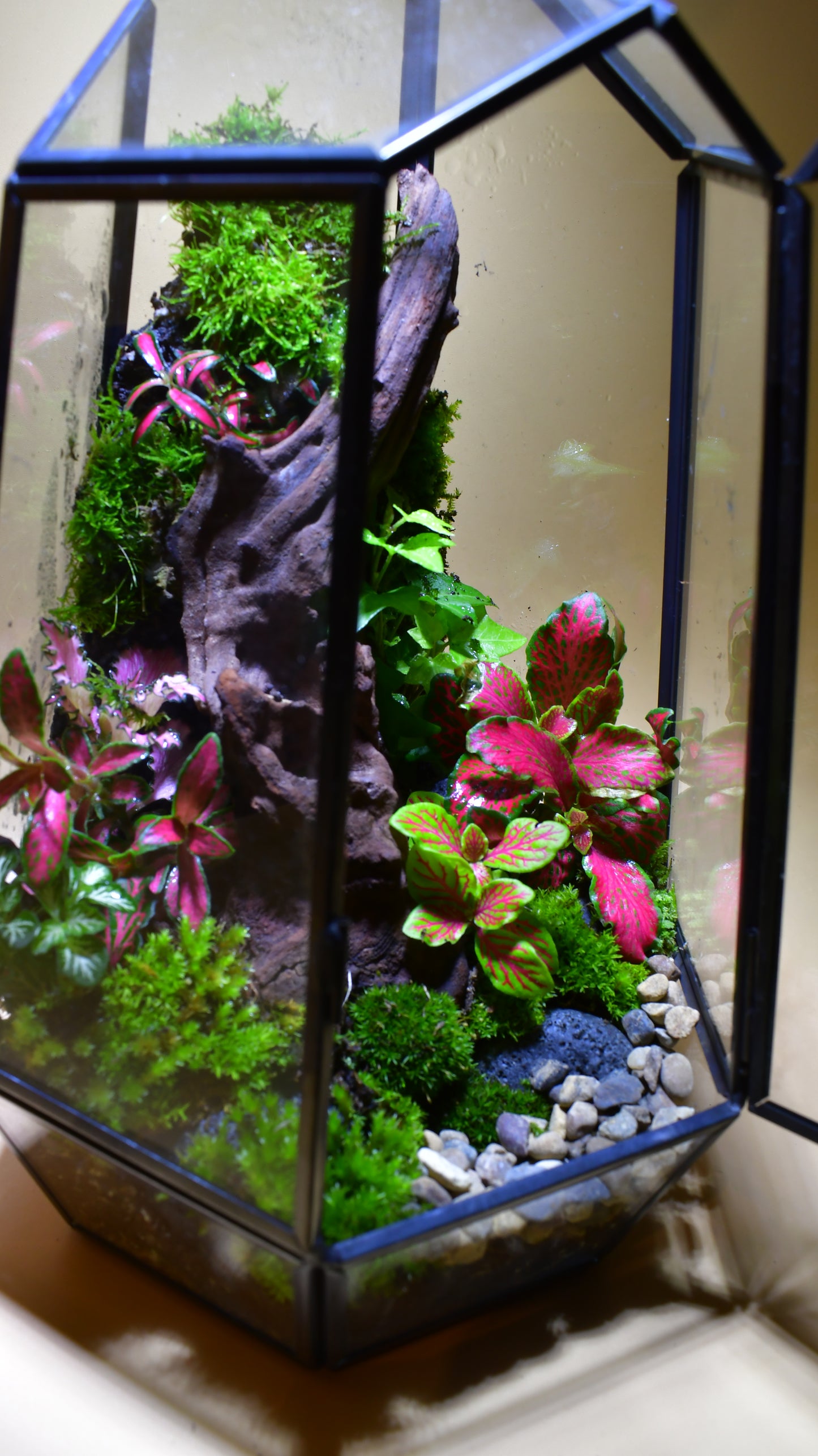 Verticle Geometric Terrarium