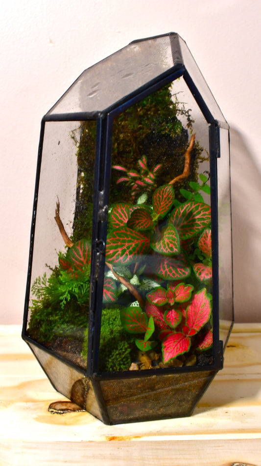 Geometric Terrarium Workshop