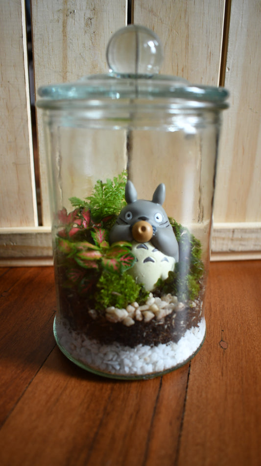 Studio Ghibli Terrarium Small - Totoro