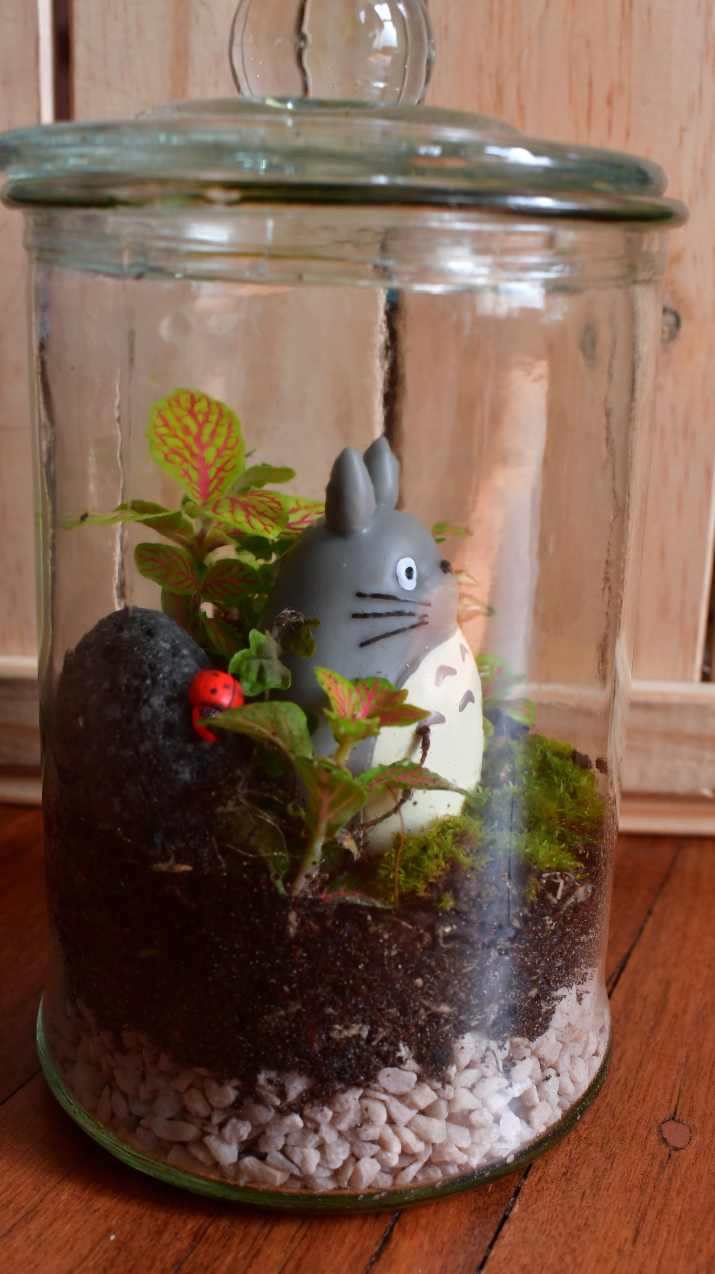 Studio Ghibli Terrarium Small - Totoro