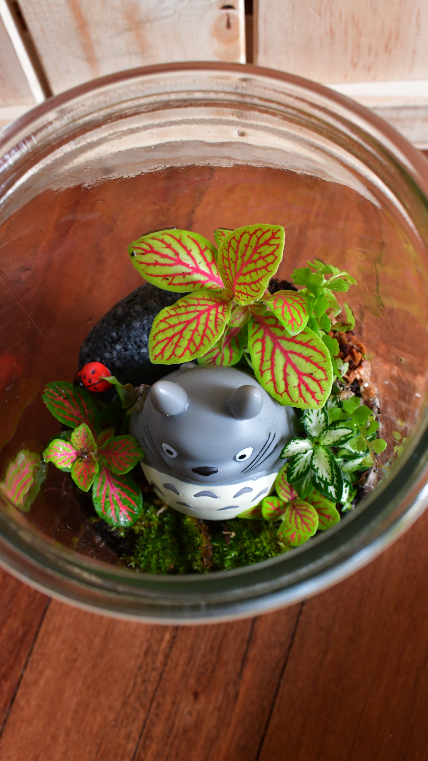 Studio Ghibli Terrarium Small - Totoro